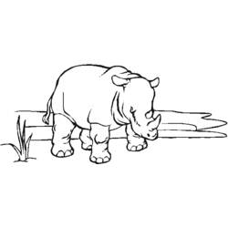 Dibujo para colorear: Zoo (Animales) #12855 - Dibujos para Colorear e Imprimir Gratis