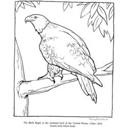 Dibujo para colorear: Zoo (Animales) #12867 - Dibujos para Colorear e Imprimir Gratis