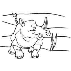 Dibujo para colorear: Zoo (Animales) #12871 - Dibujos para Colorear e Imprimir Gratis