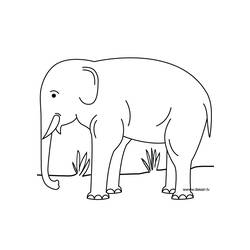 Dibujo para colorear: Zoo (Animales) #12878 - Dibujos para Colorear e Imprimir Gratis