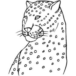 Dibujo para colorear: Zoo (Animales) #12884 - Dibujos para Colorear e Imprimir Gratis