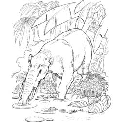 Dibujo para colorear: Zoo (Animales) #12903 - Dibujos para Colorear e Imprimir Gratis