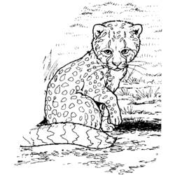 Dibujo para colorear: Zoo (Animales) #12914 - Dibujos para Colorear e Imprimir Gratis