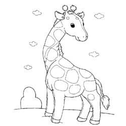 Dibujo para colorear: Zoo (Animales) #12915 - Dibujos para Colorear e Imprimir Gratis