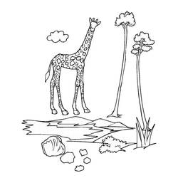 Dibujo para colorear: Zoológico (Animales) #12652 - Dibujos para Colorear e Imprimir Gratis