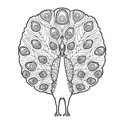 Dibujo para colorear: Zoológico (Animales) #12665 - Dibujos para Colorear e Imprimir Gratis