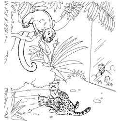 Dibujo para colorear: Zoológico (Animales) #12668 - Dibujos para Colorear e Imprimir Gratis
