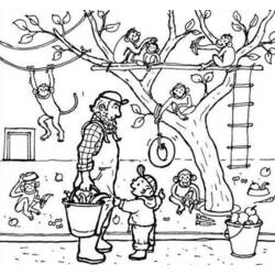 Dibujo para colorear: Zoológico (Animales) #12692 - Dibujos para Colorear e Imprimir Gratis