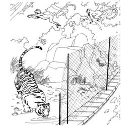 Dibujo para colorear: Zoológico (Animales) #12712 - Dibujos para Colorear e Imprimir Gratis
