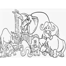 Dibujo para colorear: Zoológico (Animales) #12725 - Dibujos para Colorear e Imprimir Gratis