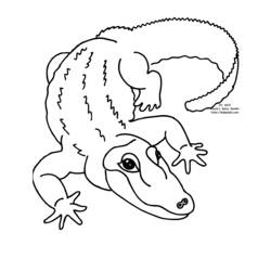 Dibujo para colorear: Zoológico (Animales) #12735 - Dibujos para Colorear e Imprimir Gratis