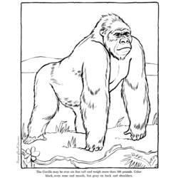 Dibujo para colorear: Zoológico (Animales) #12736 - Dibujos para Colorear e Imprimir Gratis