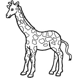 Dibujo para colorear: Zoológico (Animales) #12745 - Dibujos para Colorear e Imprimir Gratis