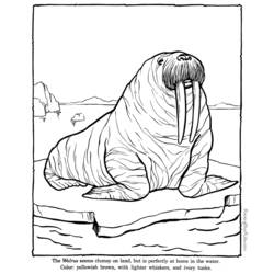 Dibujo para colorear: Zoológico (Animales) #12756 - Dibujos para Colorear e Imprimir Gratis