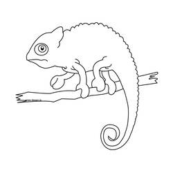 Dibujo para colorear: Zoológico (Animales) #12789 - Dibujos para Colorear e Imprimir Gratis