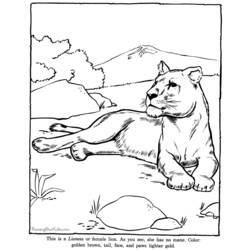 Dibujo para colorear: Zoológico (Animales) #12795 - Dibujos para Colorear e Imprimir Gratis