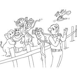 Dibujo para colorear: Zoológico (Animales) #12799 - Dibujos para Colorear e Imprimir Gratis