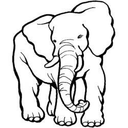 Dibujo para colorear: Zoológico (Animales) #12801 - Dibujos para Colorear e Imprimir Gratis
