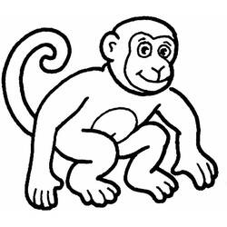 Dibujo para colorear: Zoológico (Animales) #12804 - Dibujos para Colorear e Imprimir Gratis