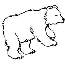 Dibujo para colorear: Zoológico (Animales) #12838 - Dibujos para Colorear e Imprimir Gratis