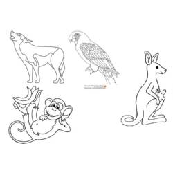 Dibujo para colorear: Zoológico (Animales) #12839 - Dibujos para Colorear e Imprimir Gratis