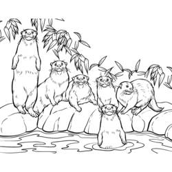 Dibujo para colorear: Zoológico (Animales) #12879 - Dibujos para Colorear e Imprimir Gratis
