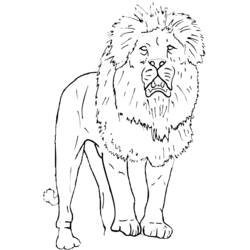 Dibujo para colorear: Zoológico (Animales) #12893 - Dibujos para Colorear e Imprimir Gratis
