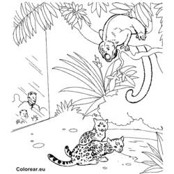 Dibujo para colorear: Zoológico (Animales) #12916 - Dibujos para Colorear e Imprimir Gratis