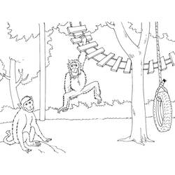 Dibujo para colorear: Zoológico (Animales) #12933 - Dibujos para Colorear e Imprimir Gratis