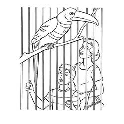 Dibujo Zoológico (Animales) #201745 para imprimir y colorear