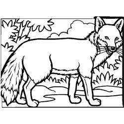 Dibujo Zorro (Animales) #179488 para imprimir y colorear