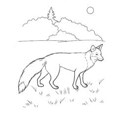 Dibujo Zorro (Animales) #179490 para imprimir y colorear