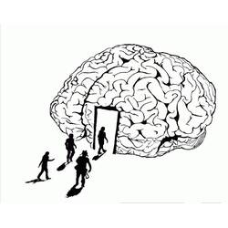 Dibujo para colorear: Human Brain (Aprendizaje y Educación) #185389 - Dibujos para Colorear e Imprimir Gratis