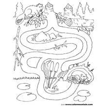 Dibujo para colorear: Laberintos (Aprendizaje y Educación) #126463 - Dibujos para Colorear e Imprimir Gratis