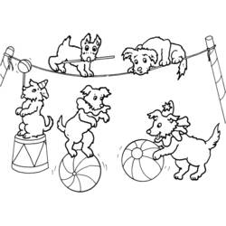 Dibujo para colorear: Acróbata (Carreras y Profesiones) #87279 - Dibujos para Colorear e Imprimir Gratis
