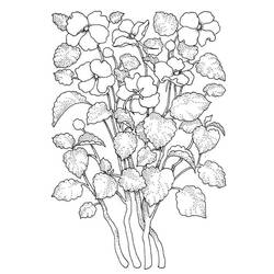 Dibujos para colorear: Flor Adulto - Dibujos para Colorear e Imprimir Gratis