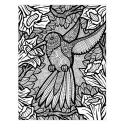 Dibujo para colorear: Zentangle (Colorear Adultos) #174357 - Dibujos para Colorear e Imprimir Gratis