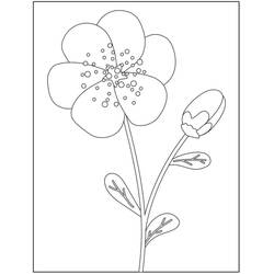Dibujo para colorear: Flores Colorear por Números (Colorear por Números) #177986 - Dibujos para Colorear e Imprimir Gratis