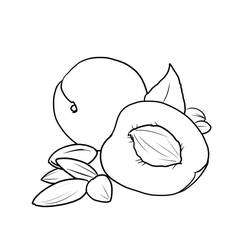 Dibujos para colorear: Albaricoque - Dibujos para Colorear e Imprimir Gratis