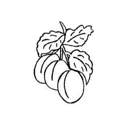 Dibujo para colorear: Albaricoque (Comida y Nutrición) #184250 - Dibujos para Colorear e Imprimir Gratis