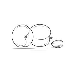 Dibujo para colorear: Albaricoque (Comida y Nutrición) #184251 - Dibujos para Colorear e Imprimir Gratis