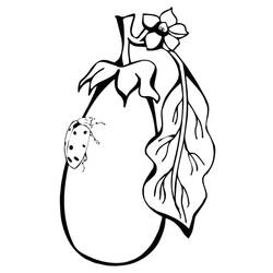 Dibujo para colorear: Berenjena (Comida y Nutrición) #207486 - Dibujos para Colorear e Imprimir Gratis