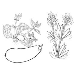 Dibujo para colorear: Berenjena (Comida y Nutrición) #207491 - Dibujos para Colorear e Imprimir Gratis
