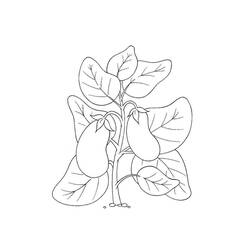 Dibujo para colorear: Berenjena (Comida y Nutrición) #207493 - Dibujos para Colorear e Imprimir Gratis