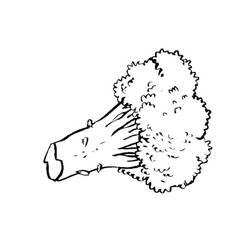 Dibujo para colorear: Brócoli (Comida y Nutrición) #203726 - Dibujos para Colorear e Imprimir Gratis