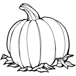 Dibujo para colorear: Calabaza (Comida y Nutrición) #166814 - Dibujos para Colorear e Imprimir Gratis