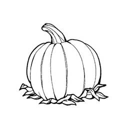 Dibujo para colorear: Calabaza (Comida y Nutrición) #166822 - Dibujos para Colorear e Imprimir Gratis