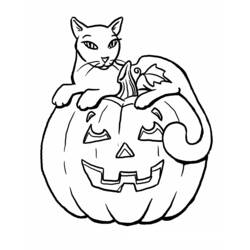 Dibujo para colorear: Calabaza (Comida y Nutrición) #166888 - Dibujos para Colorear e Imprimir Gratis