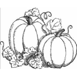Dibujo para colorear: Calabaza (Comida y Nutrición) #166934 - Dibujos para Colorear e Imprimir Gratis