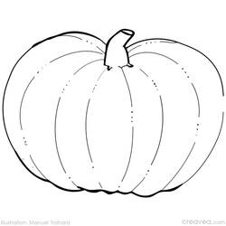 Dibujo para colorear: Calabaza (Comida y Nutrición) #166939 - Dibujos para Colorear e Imprimir Gratis